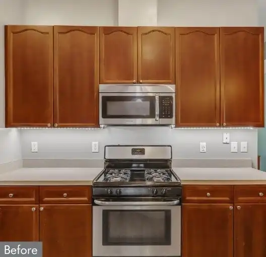 Before-Cabinet Door Replacement