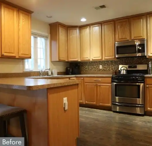 Before-Cabinet Door Replacement