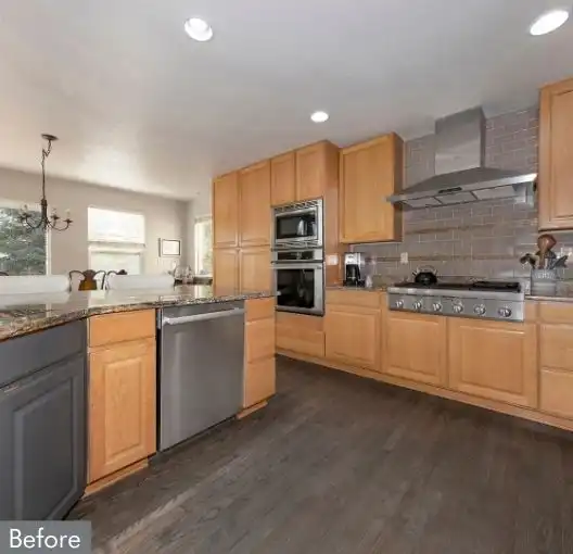 Before-Cabinet Door Replacement