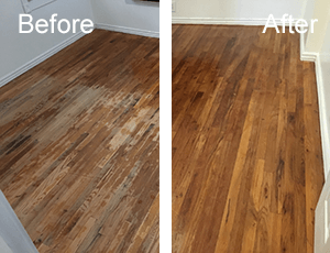 Einginreed Floor Sanding