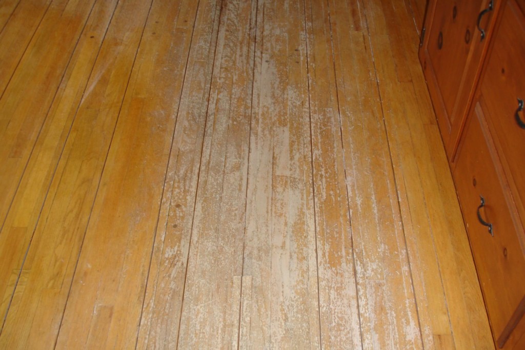 sandless floor refinishing delaware area
