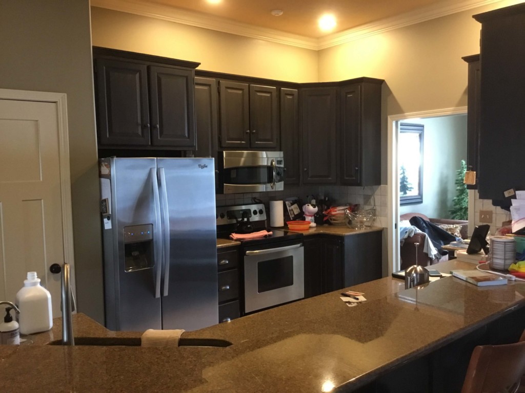 before cabinet refinishing tea sd
