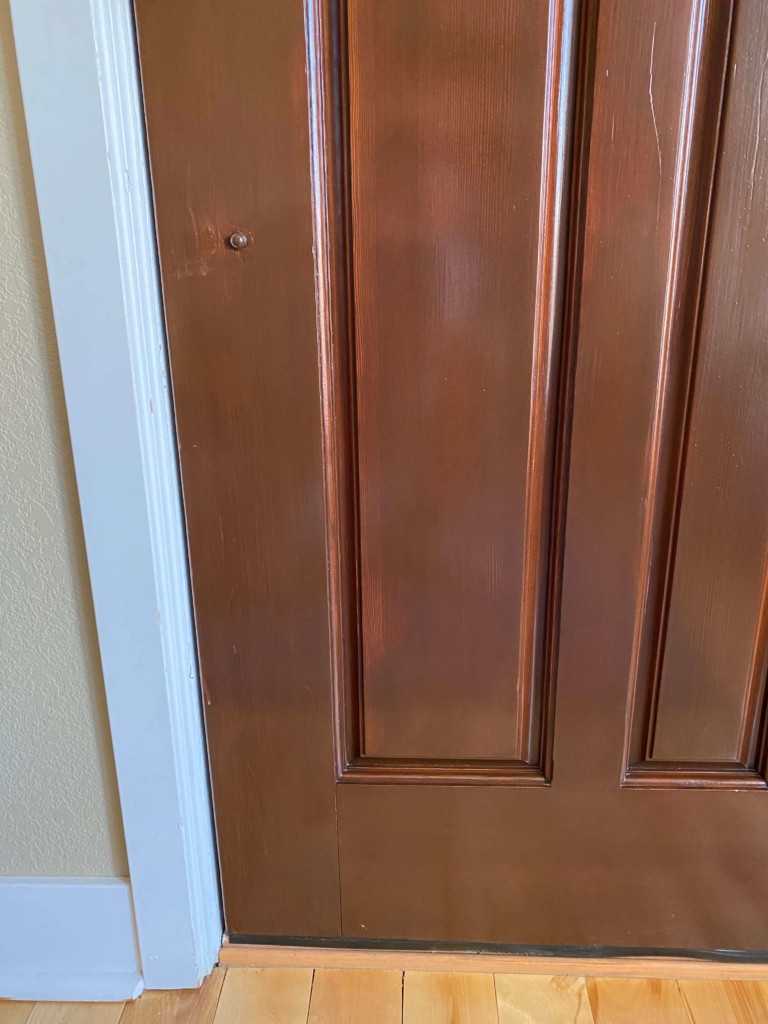 front door without pet scratches denver