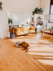 hardwood floor refinishing huxley ia