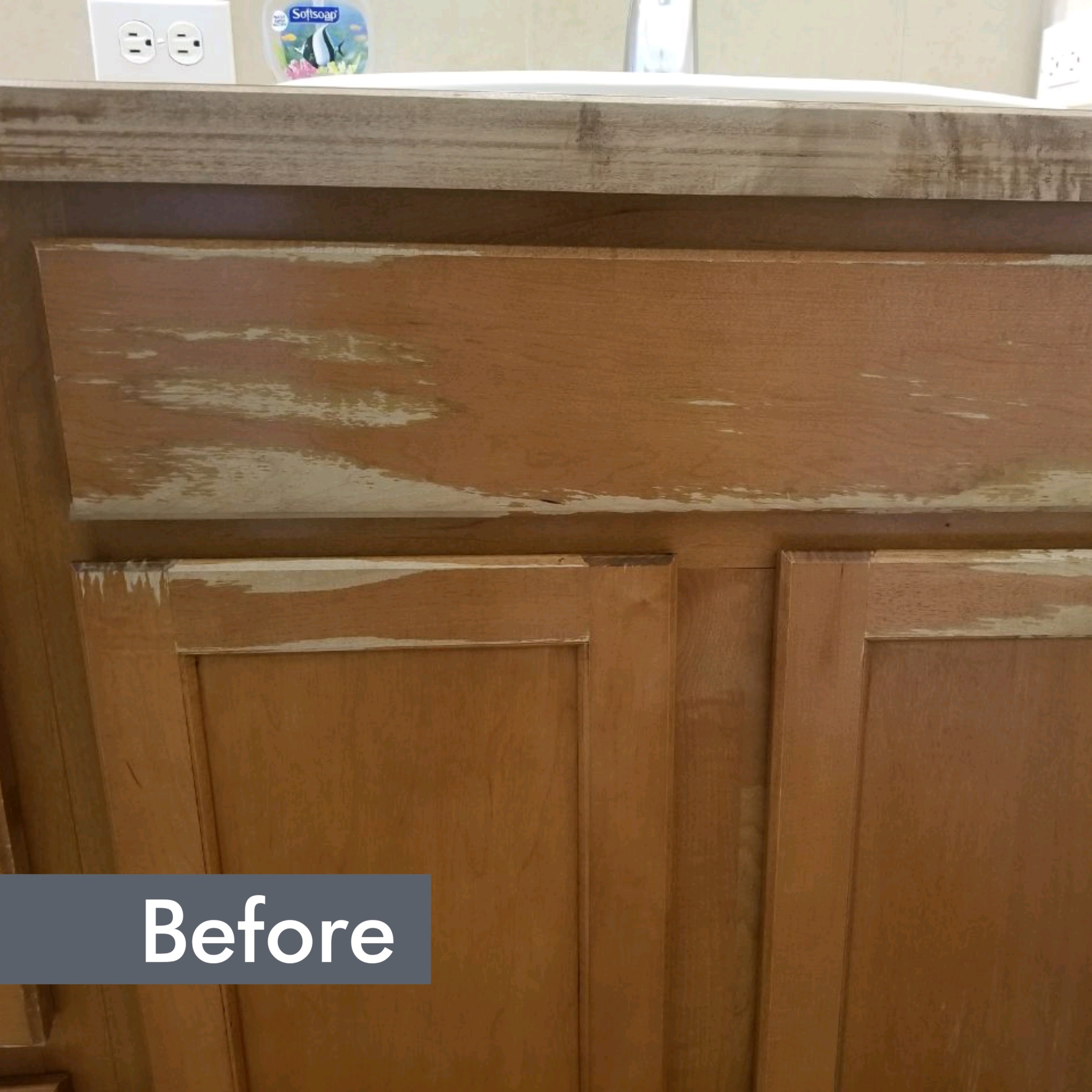 Before-Classic Cabinet Renewal