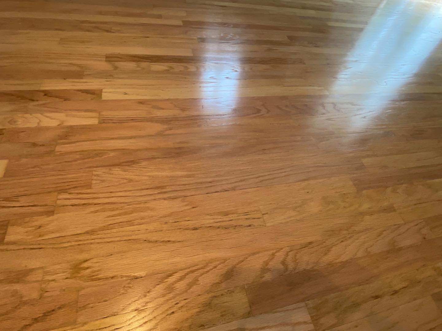 Hardwood Floor Refinishing Gallery | N-Hance Wood Refinishing of