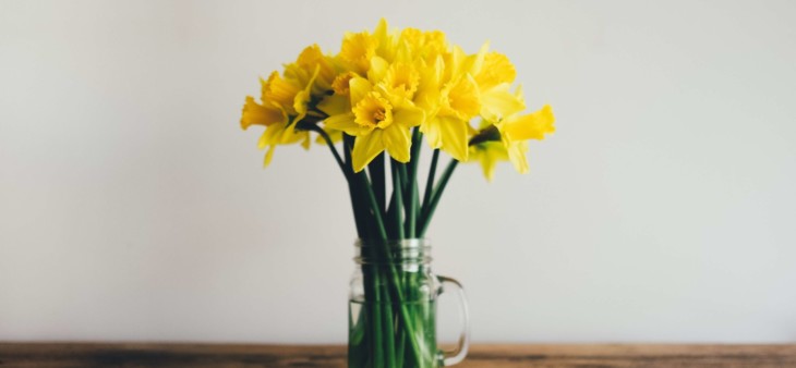 Why Cabinet Refinishing Should Be Apart of Your Spring Cleaning This Year