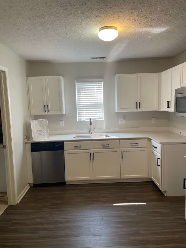kitchen cabinet painting