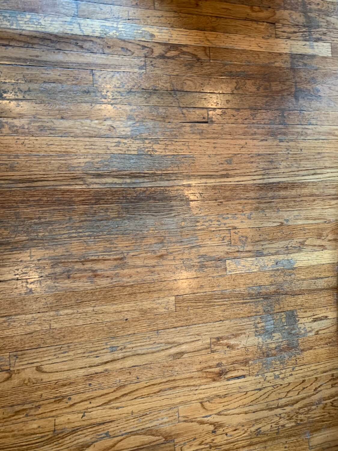 Before-Basic Floor Renewal