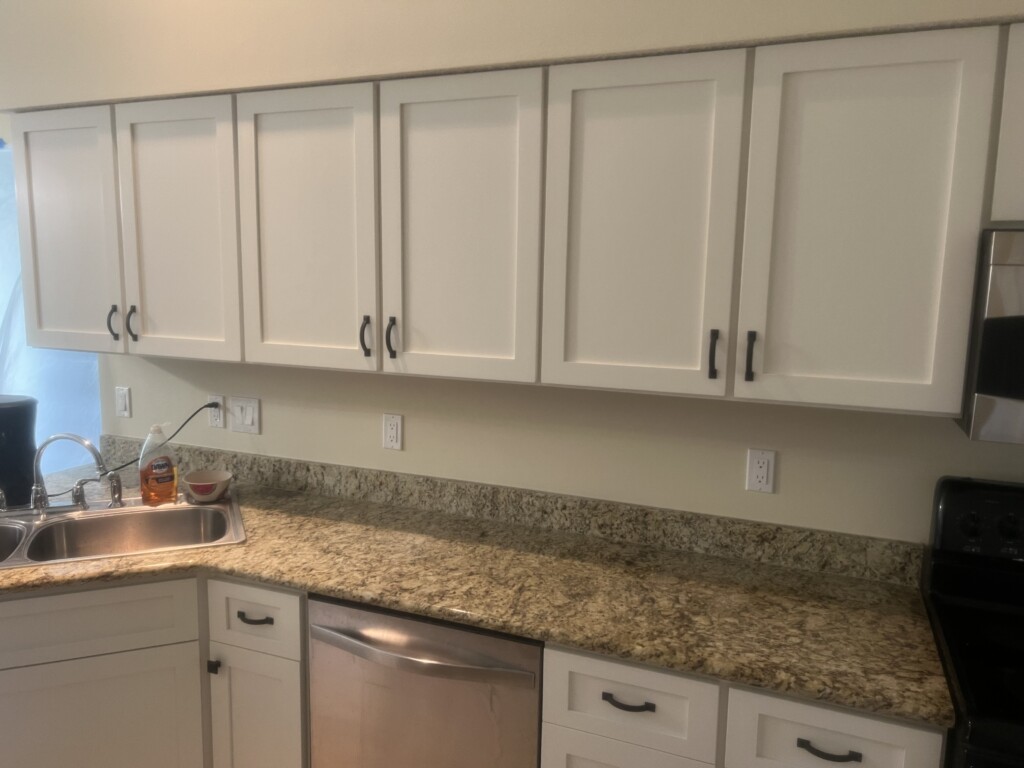 after cabinet door replacement in Jacksonville, FL