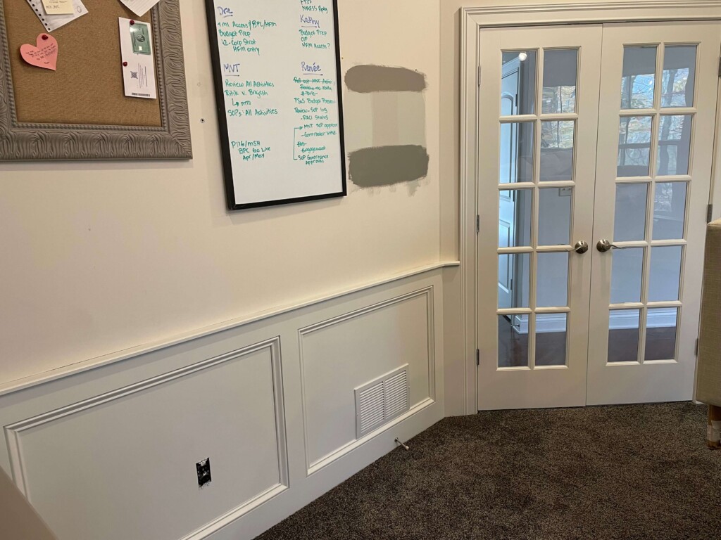 painting internal doors