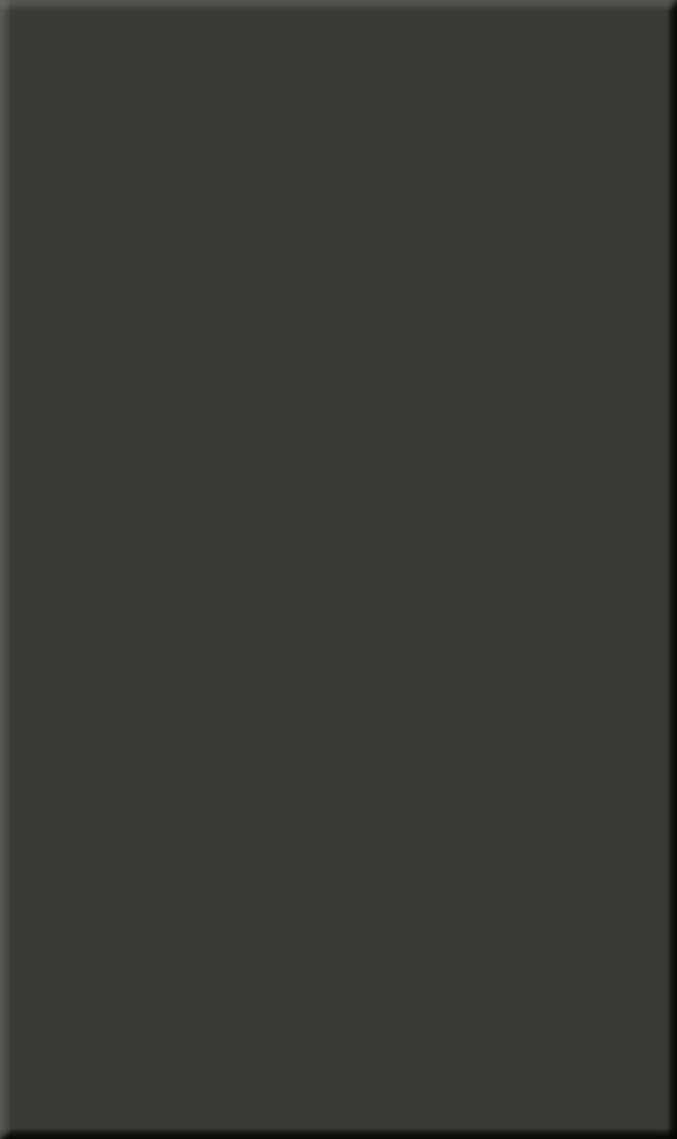 slab door black