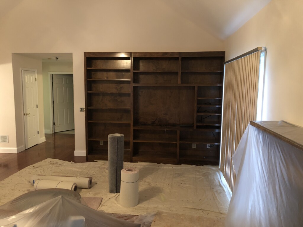 before bookshelf painting