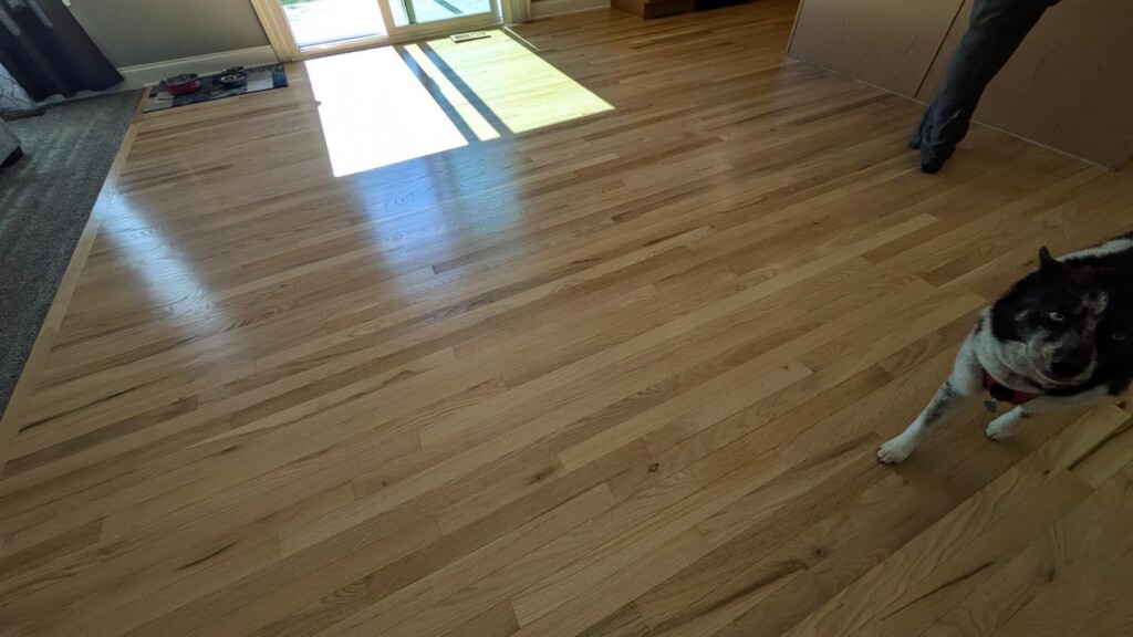 newly refinished hardwood floors