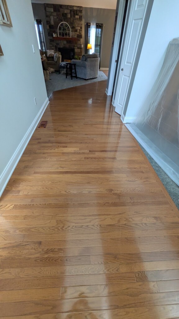 hallway hardwood floors into living area