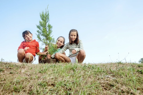 Three children kneel in a grass field, planting a young tree and smiling.
