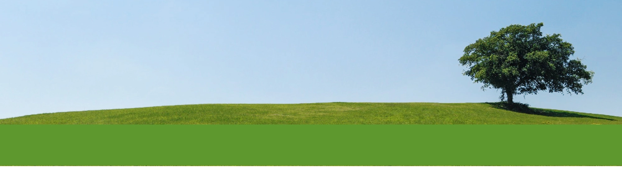 A tree sits on a hill with blue skies above. In the center of the image are the logos for N-Hance and the non-profit, American Forests. Text at the top of the image reads Proud Partners.